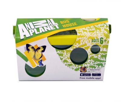 Παρατήρηση Εντόμων Σπίτι